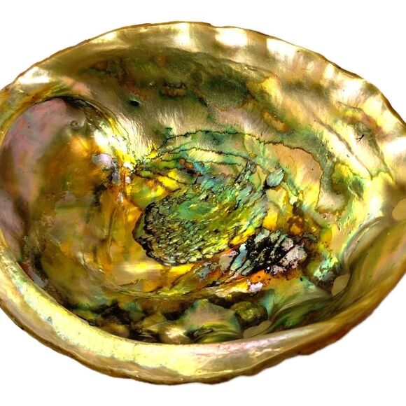 Vintage ABALONE RARE Golden Green Iridescence Shell  Footed Bowl Dish MCM - Picture 2 of 10